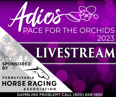 meadows live racing|Adios Live Stream .